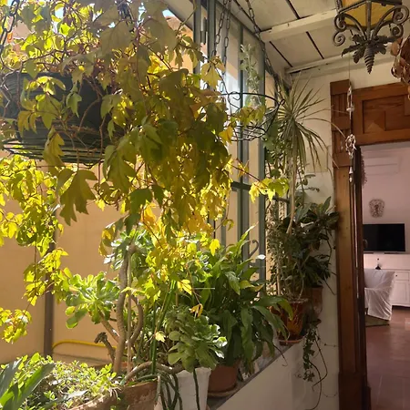 Apartamento Tra Vicoli E Palazzi *